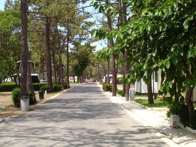 Hotel Parque De Campismo Orbitur Gala Figueira da Foz Esterno foto